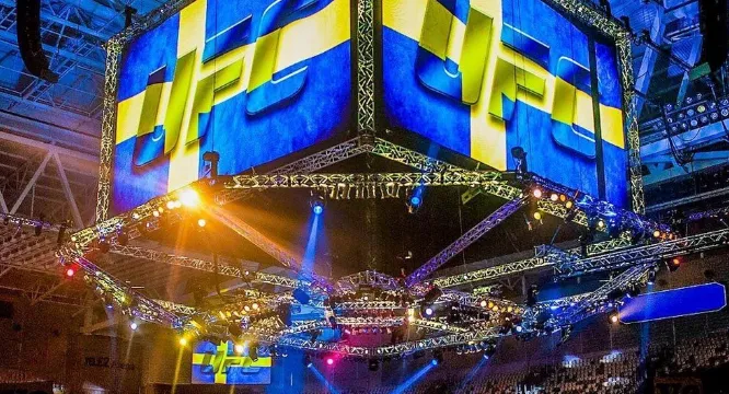 Sveriges framtid inom UFC